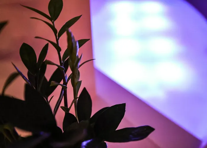 Aphrodite Suite Romantic Jacuzzi & Fireplace Αθήνα, Ελλάδα