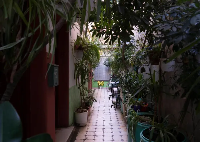 Pagration Youth Hostel